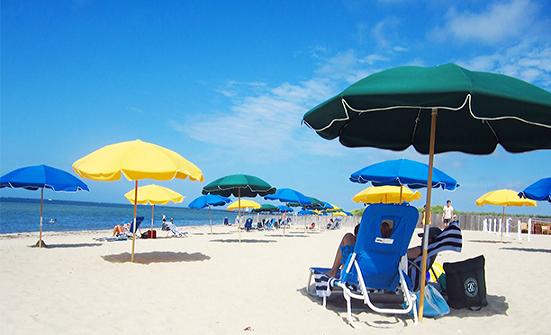 Hotel Details